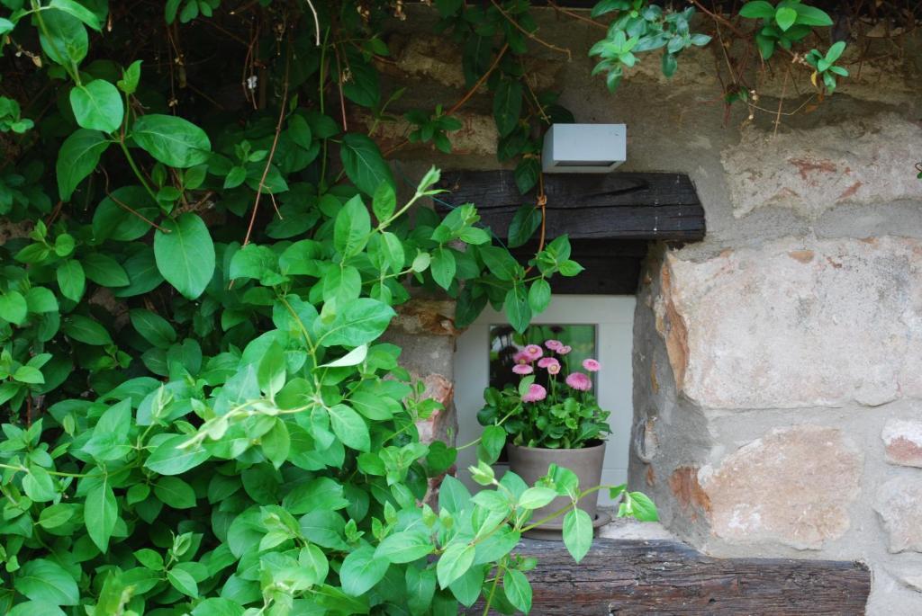 B&B Le Lodge Bourgheim Dış mekan fotoğraf